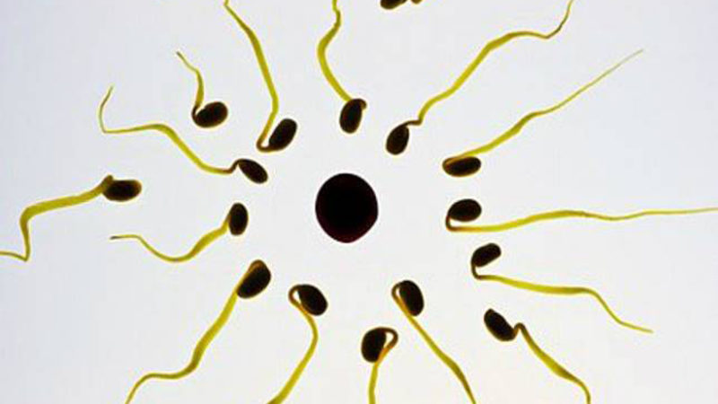 Sperma di Luar Vagina Tetap Bikin Hamil