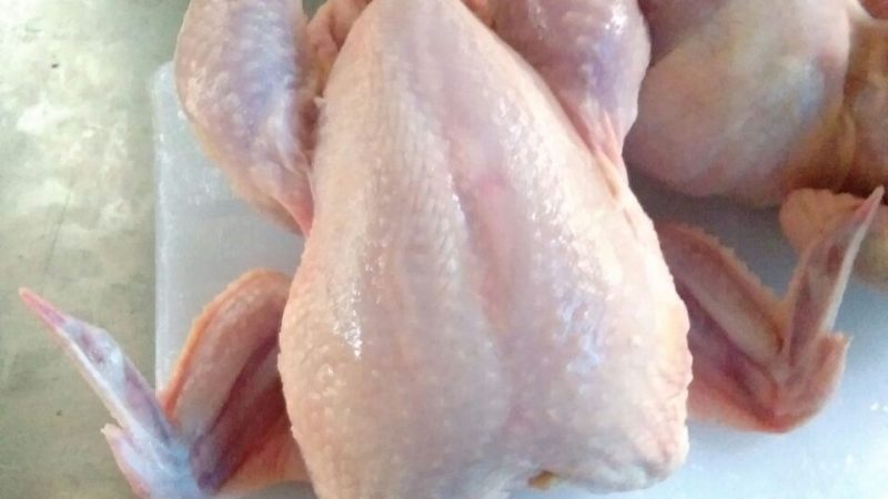 Manfaat Daging Ayam